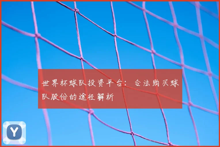 世界杯球队投资平台:合法购买球队股份的途径解析
