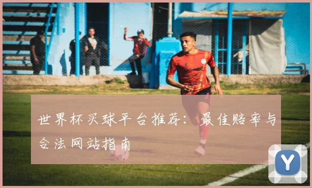 世界杯买球平台推荐：最佳赔率与合法网站指南