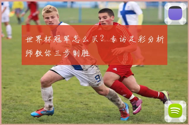 世界杯冠军怎么买?专访足彩分析师教你三步制胜