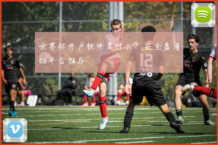 世界杯开户软件是什么？安全靠谱的平台推荐