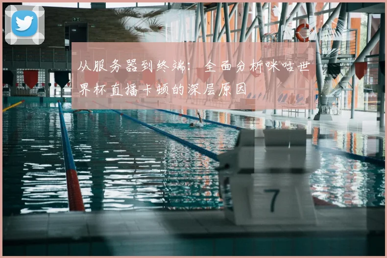 从服务器到终端：全面分析咪咕世界杯直播卡顿的深层原因