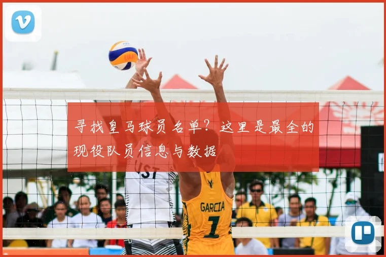 寻找皇马球员名单？这里是最全的现役队员信息与数据