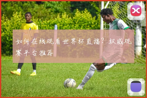 如何在线观看世界杯直播？权威观赛平台推荐