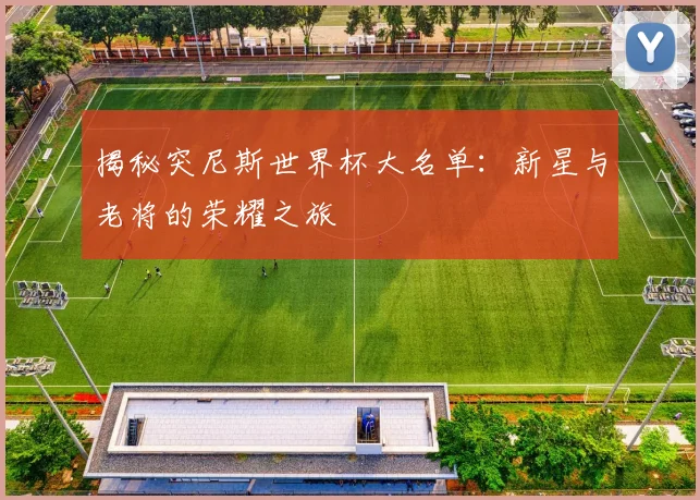 揭秘突尼斯世界杯大名单：新星与老将的荣耀之旅