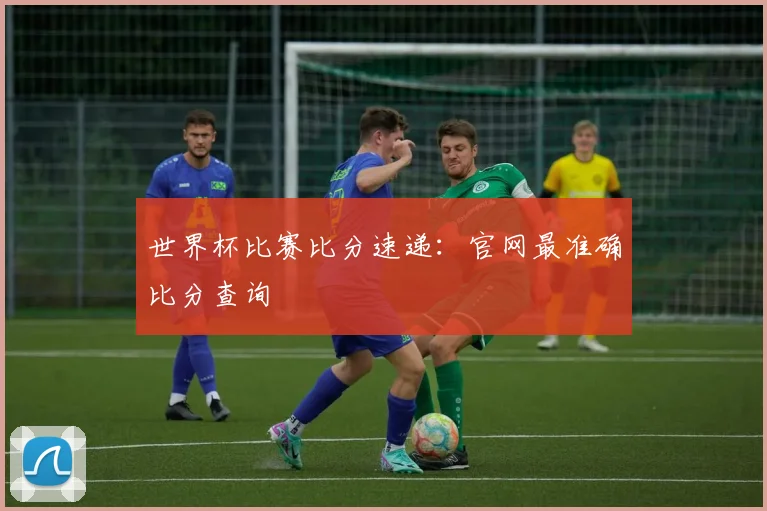 世界杯比赛比分速递：官网最准确比分查询