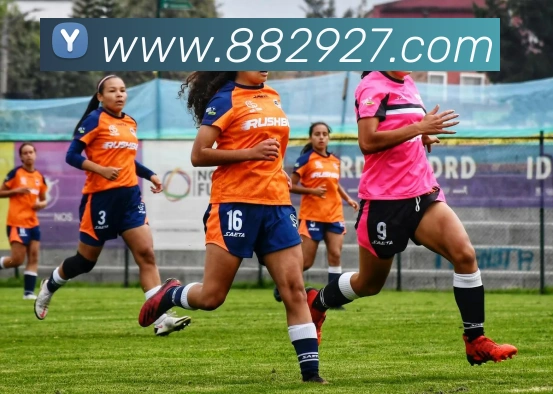 滚球官网app服务体系